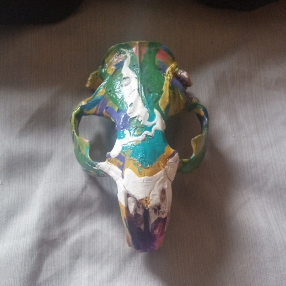 Hand Painted Beaver Skull